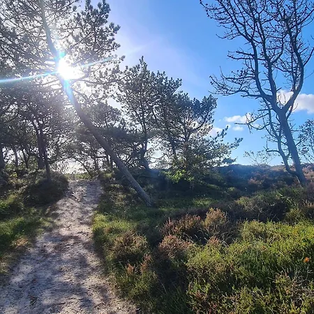 Tranquil Retreat In Bolilmark-by Traum *