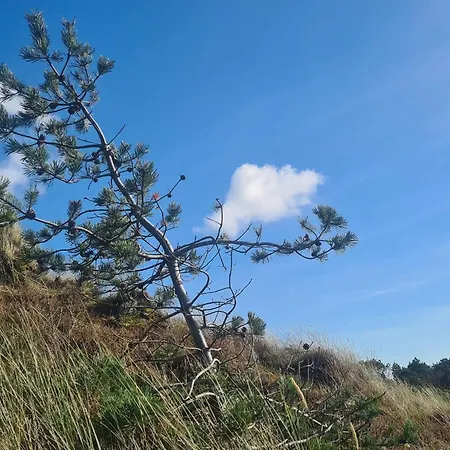 Holiday home Tranquil Retreat In Bolilmark-by Traum