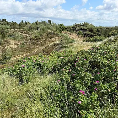 Tranquil Retreat In Bolilmark-by Traum