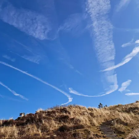 Holiday home Tranquil Retreat In Bolilmark-by Traum